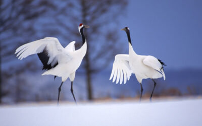 「つながり」や「きっかけ」を大切に 黒丸尊治