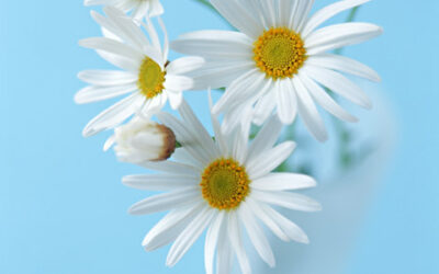 がんは生き方を問う 続・ごあいさつ