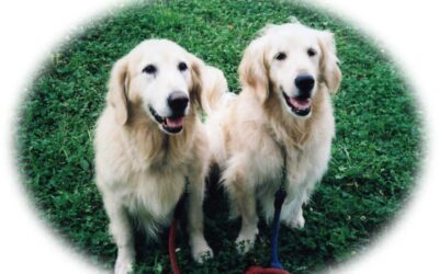 「生き方」と「つながり」　愛場庸雅