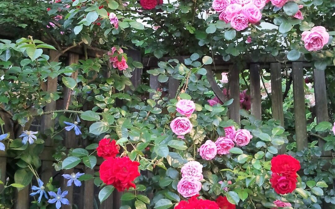 宿題は解けたのだろうか？