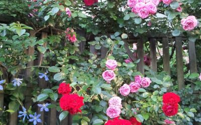 宿題は解けたのだろうか?