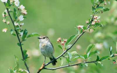 今、病室の片隅に居るあなたへ 船戸崇史