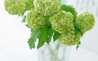 「がんは心のしこり」 YMさんの手記3