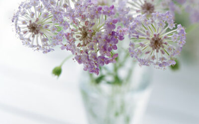 「人は治るようにできている」 YMさんの手記2