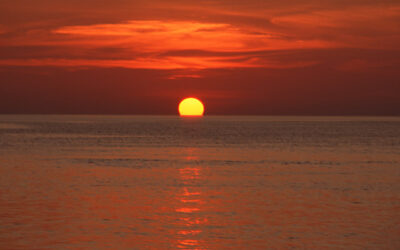 がんは生き方を問う~ものの見方を変える