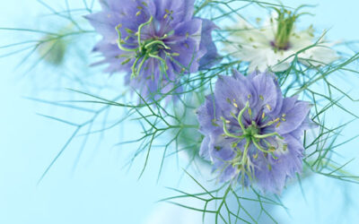 「間違ったことをしなければ、生き物は再生する」 YMさんの手記4