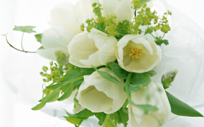 YMさんのおすすめBOOK