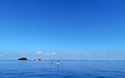 新関西支部長就任のご挨拶