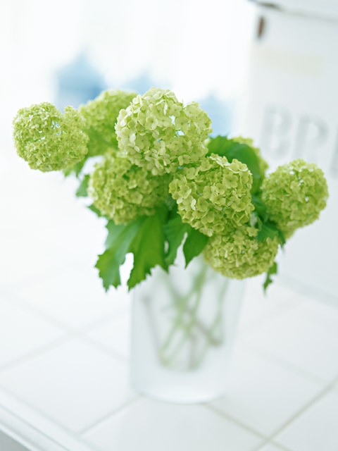 「がんは心のしこり」　YMさんの手記３