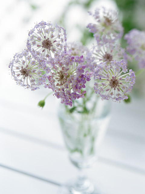 「人は治るようにできている」　YMさんの手記２