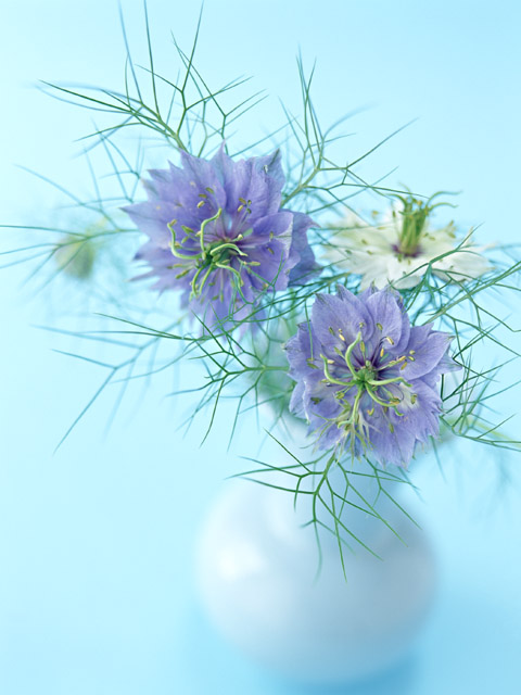 「間違ったことをしなければ、生き物は再生する」　YMさんの手記４