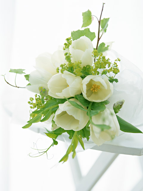 YMさんのおすすめBOOK