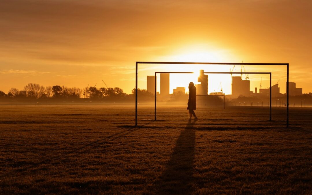 silhouette of person standing on field during sunset